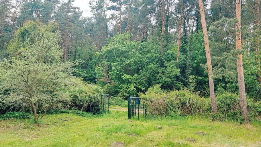 Das Gelände liegt direkt am Wald