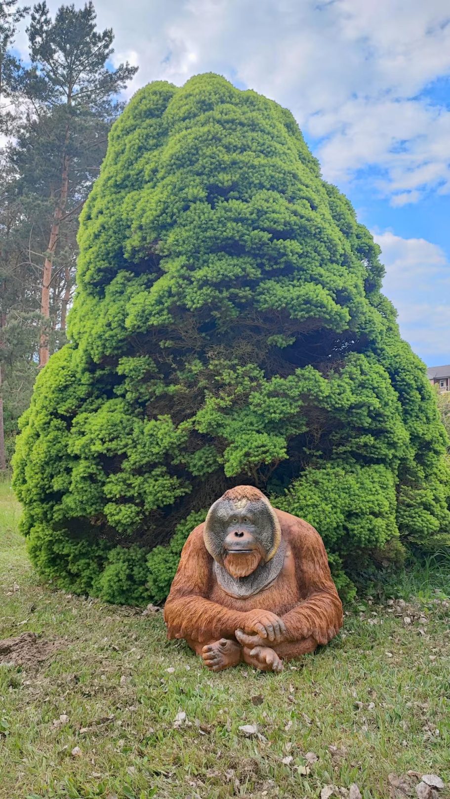 Orang-Utan Ronny - Die gute Seele der Anlage (keine Sorge - nur Pappmaché)
